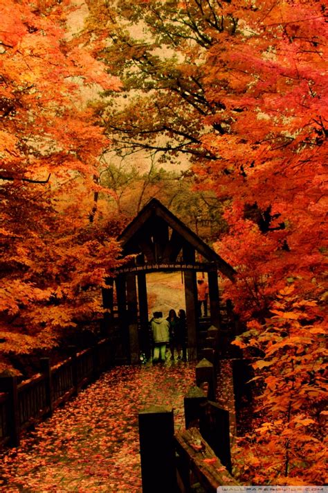 Download Autumn Mobile Wallpaper Gallery