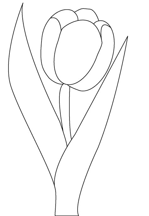 Https://tommynaija.com/coloring Page/flower Petals Coloring Pages
