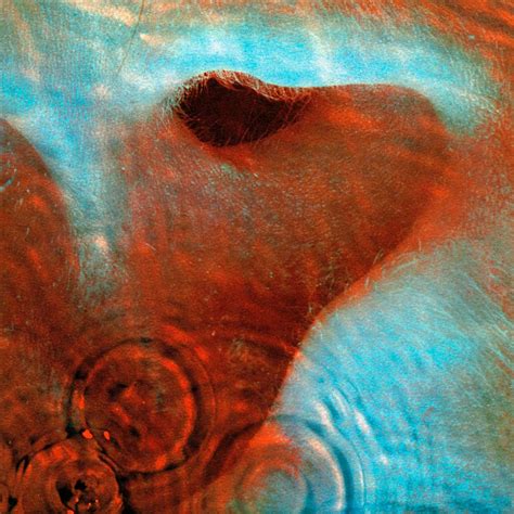 Pink Floyd Meddle Amazon Com Music