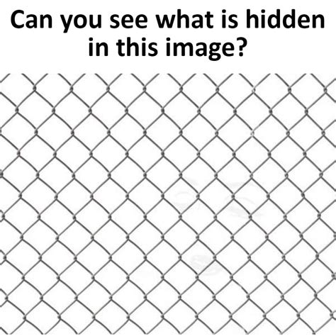 Can You See What Is Hidden In This Image Enviatame