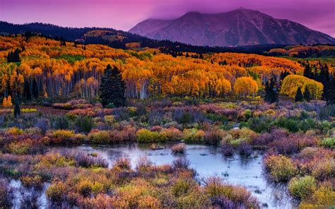 Mountain Kebler Pass A Colorado Usa Fall Nature Landscape Wallpaper Hd