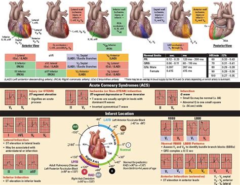 Ecg Quick Reference