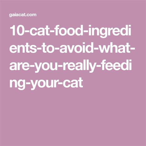10-cat-food-ingredients-to-avoid-what-are-you-really ...