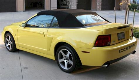 Zinc Yellow 2003 Ford Mustang Svt Cobra Convertible Mustangattitude