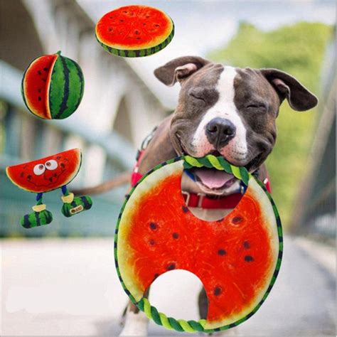 Watermelon Dog Toy Supreme Paw Supply