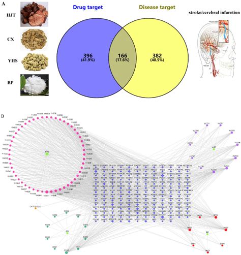 Network Establishment A Venn Diagram Of Drug Targets And Disease