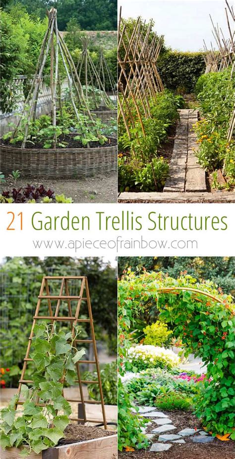 Bamboo garden border fence edging | diy garden #diygarden #gardenideas. 21 Easy DIY Garden Trellis Ideas & Vertical Growing ...