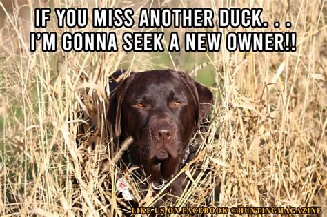 Duck Hunting Meme If You Miss Another Duck Im Gonna Hunting