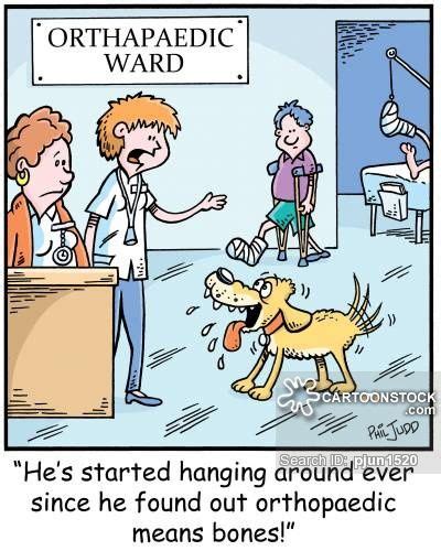 17 Best Images About Orthopedic Humor On Pinterest Hip Replacement