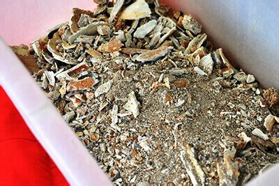 Before you scoop the next batch of ashes in the trash, check ou… because fireplace ashes absorb odors, you can use them to get your pet smelling better, faster. Cremation Process | Education - LONITÉ™