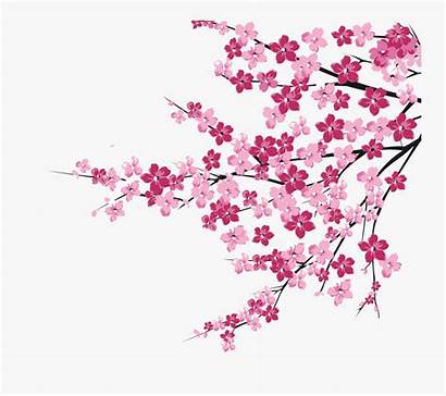 Blossom Cherry Tree Branch Pink Clipart Blossoms