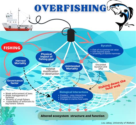 Diminishing Catch In Overfished Bohol Waters Vera Files