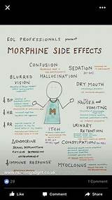 Morphine Side Effects Hospice Patients
