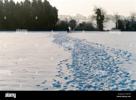 Footpath Snow Tracks On Winter Morning Stock Photo Alamy