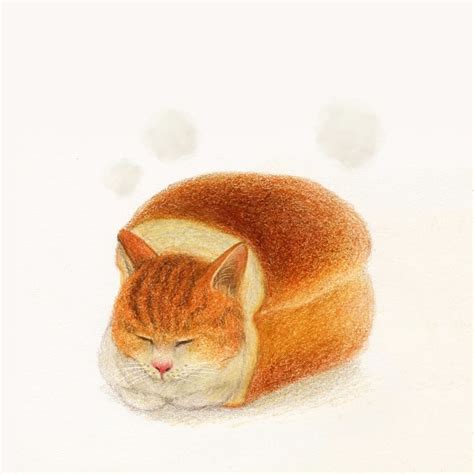 냥송이 On Instagram 식빵 노릇노릇 일러스트레이터 일러스트 그림 그림스타그램 동물 고양이 애묘