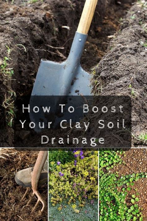 How To Improve Clay Soild Drainage Clay Soil Planting In Clay