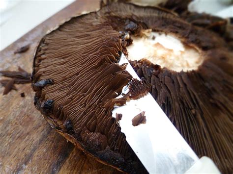 Next, pull off the stems with your fingers or cut them. How To'sday: Cleaning a Portobello Mushroom - ***DEV Yum ...