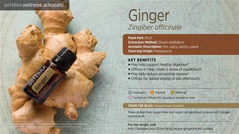 Uses natural ingredients in its products both local imported, utilizes …. Ginger Doterra Essential Oil - 15m (end 10/29/2018 10:15 AM)