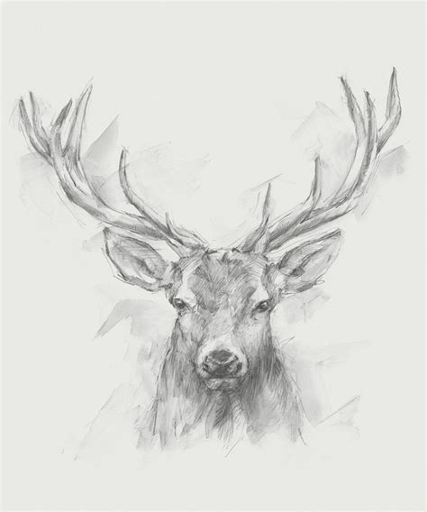 Contemporary Elk Sketch I Painting By Ethan Harper Fine Art America