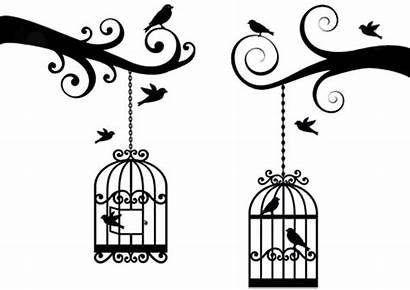 Cage Bird Coloring Vector Pages Lovely Place