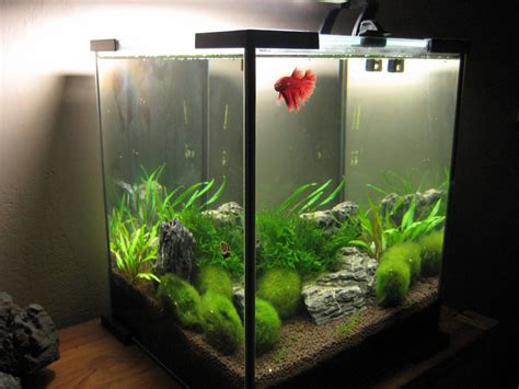 My Aquarium Scapes 20 Liters Nano Cube