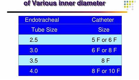 et tube size chart for dogs