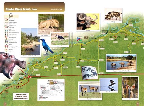 Tinkers Chobe National Park Tourist Map Ilona Hupe Verlag