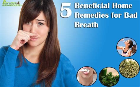 5 home remedies for bad breath keep your mouth healthy