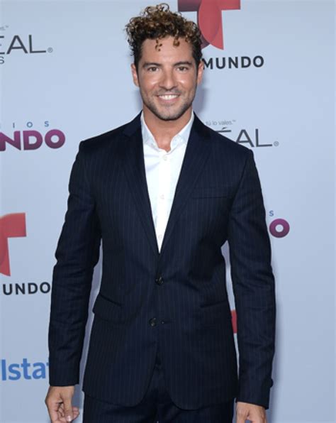 La Estrategia De David Bisbal Para Detener Conflicto Entre Su Esposa Y