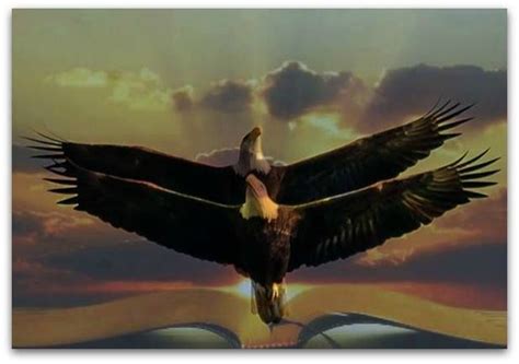 Double Prophetic Art Heavenly Places Bald Eagle