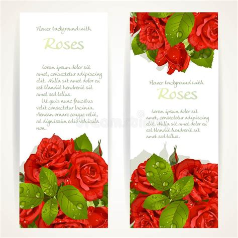 Set Of Roses Banners Stock Vector Illustration Of Header 10215076