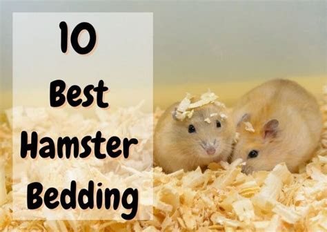 10 Best Hamster Bedding Real Reviews 2023 Guide The Pet Savvy
