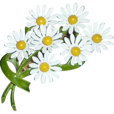 1960s Pin Bouquet Of White Daisy Daisies From Dobiesdelights On Ruby Lane