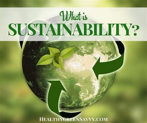 What Is Sustainability And Why Does It Matter Healthygreensavvy