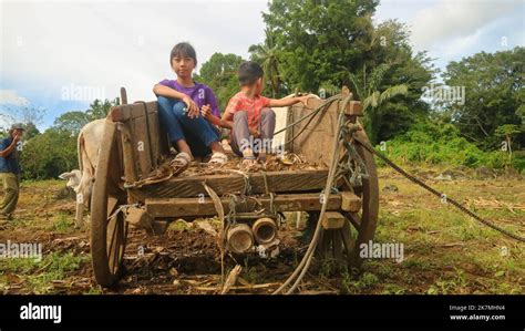 Children In A Oxcart At The Farm Stock Photo Alamy