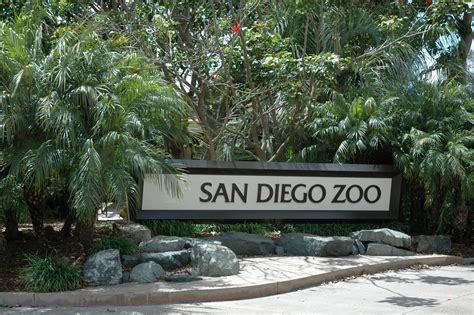 Enjoy San Diego Zoo And Balboa Park