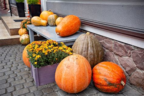 Premium Photo A Row Of Pumpkins And Gourds Sit On A Sidewalk