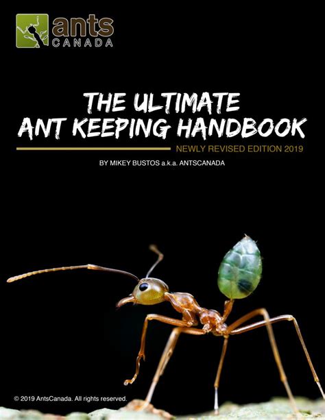 The Ultimate Ant Keeping Handbook E Book Antscanada