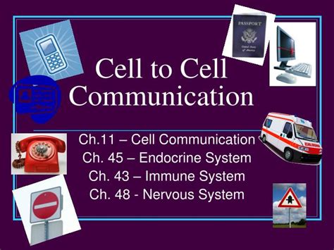 Ppt Cell To Cell Communication Powerpoint Presentation Free Download
