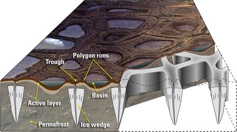 Formation Of Ice Wedges In Permafrost Polar Media Archive