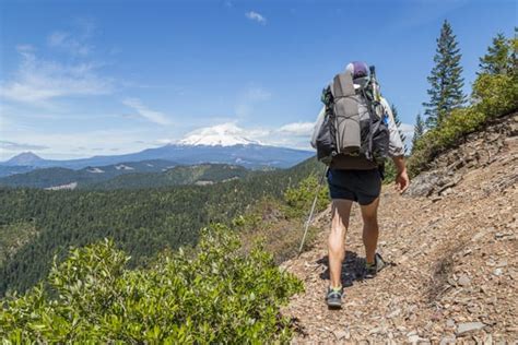 Section Hiking The Pacific Crest Trail In Northern California