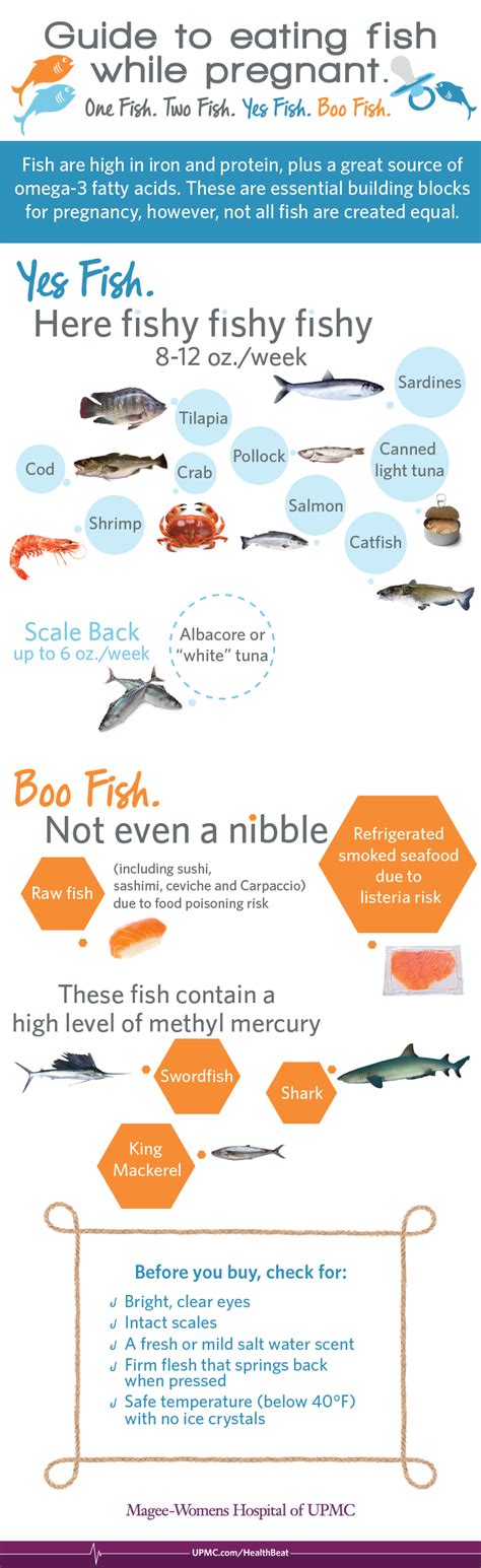 Infographic Eating Seafood During Pregnancy Upmc