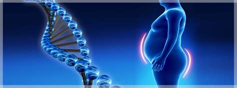Obesidad Ligada A La Gen Tica Genmolab