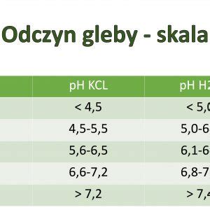 Jakie pH gleby pod warzywa lista roślin z optymalnym pH dla rozwoju