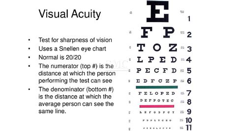 Snellen Eye Chart Manufacturer Shanghai Medical
