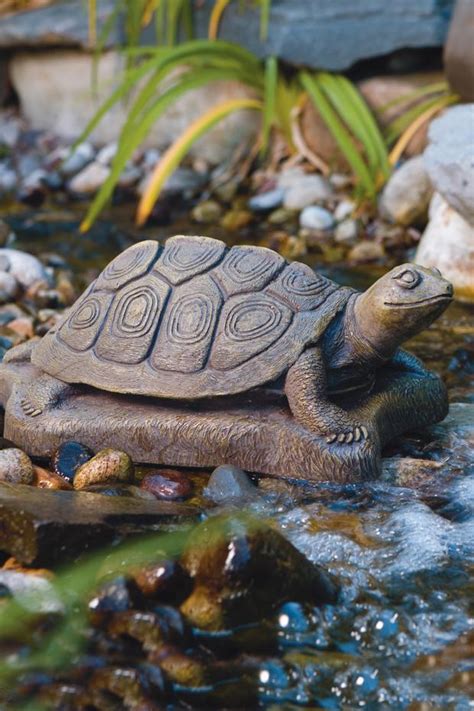 Water Turtle Garden Decor Whyte Ave Landscape Supplies Centre