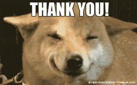 These are nice, cute memes that could be used in most situations. Thank You GIF - Thank You Meme and Animated GIFs