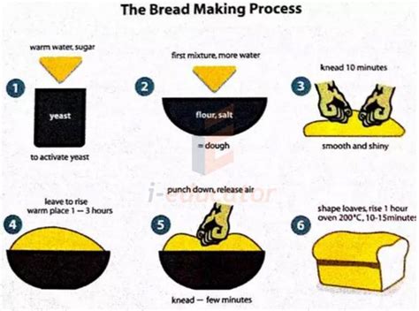 The Bread Making Process Testbig