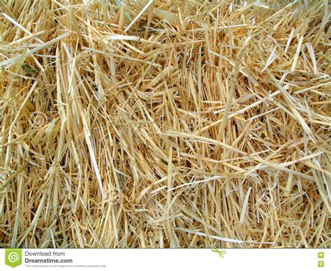 Straw Texture Stock Image Image Of Farmland Agricultural 79258183