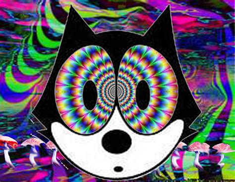 🔥 Download Trippy Cat Wallpaper Hd By Tracywilliams Trippy Cat